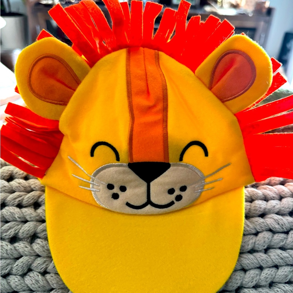 Fun Character Hats
